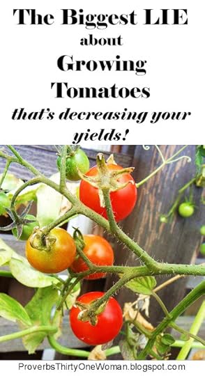 The biggest myth about growing tomatoes