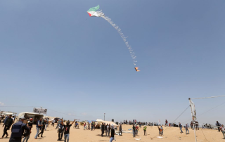 Kites