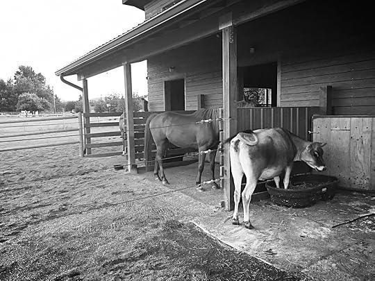 Molly Moo geographies J.L. Forrest Seattle Science Fiction