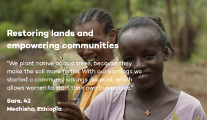 Ecosia - The Search Engine that Plants Trees!