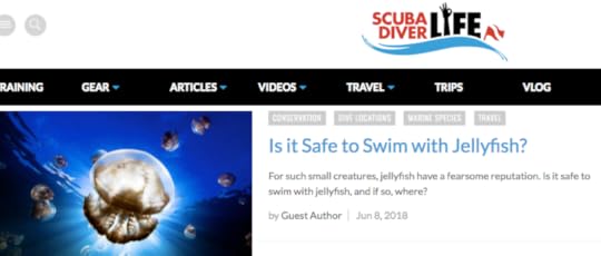Lisa Niver swum with the Jellyfish , ScubaDiverLife