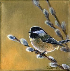 beauty of the chickadee