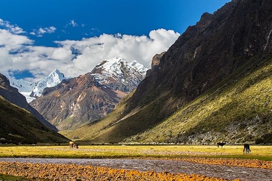 Andean landscape