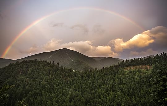 Bitterroot rainbow 3