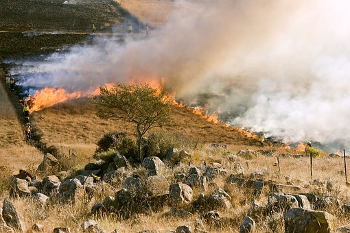 Grass Fire Firefighter Smoke Preventive Bu