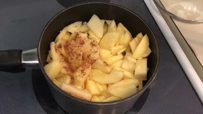 HOMEMADE APPLESAUCE