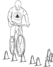 3, Mountain Bike Training Plan for Beginners, Survival Fitness Plan Mountain Bike Training