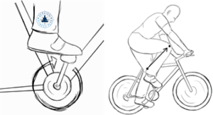 Mountain Bike Training Plan for Beginners, Survival Fitness Plan Moutain Bike Riding Training