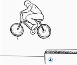 3, Overcoming Obstacles While Mountain Bike Riding, Survival Fitness Plan Mountain Bike Training Plan for Beginners