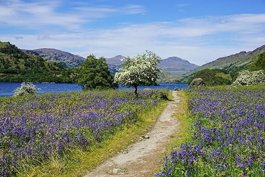 west highland way, UK