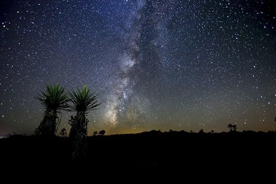 Stargazing landscape Nevada Walking Box Ranch