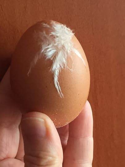 fresh egg