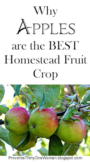 Why Apples are the Best Homestead Crop