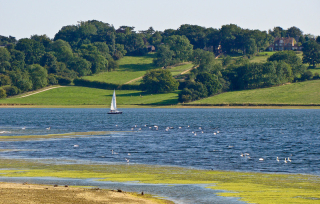 Rutwater