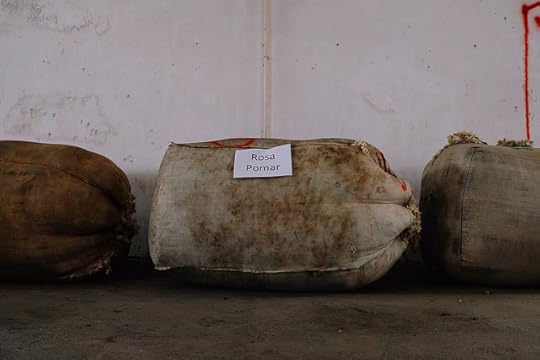 sorting and grading fleece