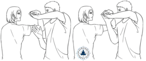 23 Arm Locks in Self Defense, Survival Fitness Plan Self-Defense