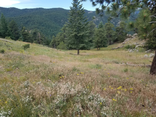 Ute TRail HIgh Plains