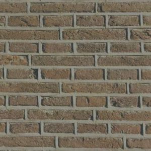 Obstacle to writing success