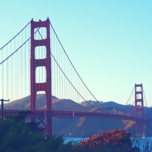 San Francisco has a vibrant writing community and may be your perfect travel destination for writing inspiration