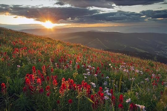 Image result for summer