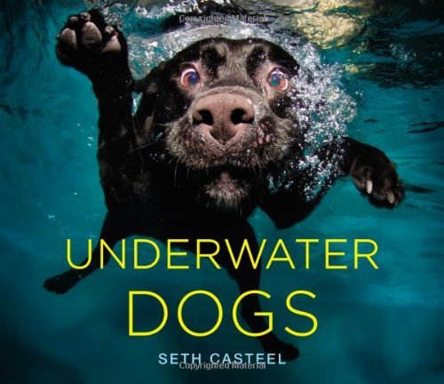 Image result for underwater dogs