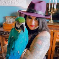 Your Weekly Tarotscope Video with Michele Knight