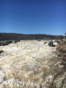 Thank you Positivity