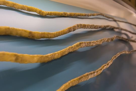 longest nails