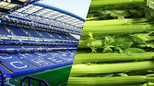 chelsea football club celery