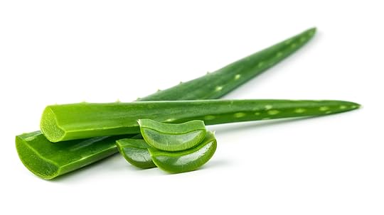 aaloe-vera-tervis-kasulik-põletiku-kiirguse-vastane-forever-seerum-nektar-mahl-paljas-porgand-blogi