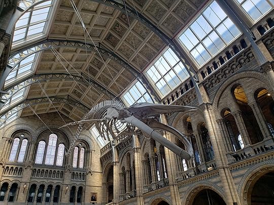 Image may contain: outdoor