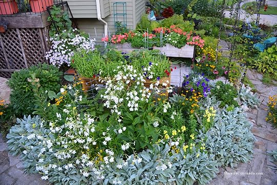 Cutting Garden with Elevated Beds