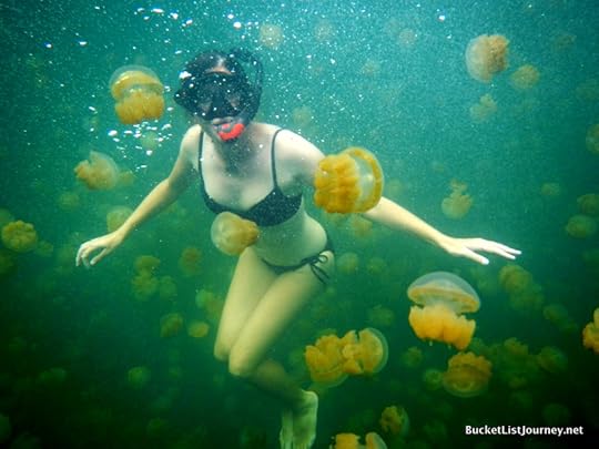 Lisa Niver in Jellyfish Lake photo by Bucket List Journeys