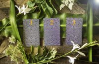 Your Free Tarot Card Reading – Immediate Future Wisdom