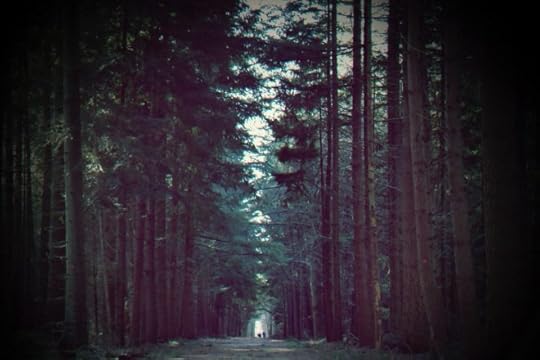 Chasing Dreams and Finding Truth Interview with Tim Grahl