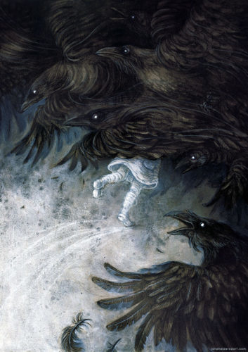 7 ravens