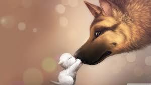 Image result for cute