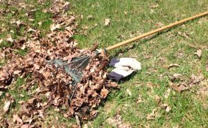 Working Hard at Raking the Yard – Why Nobody Noticed