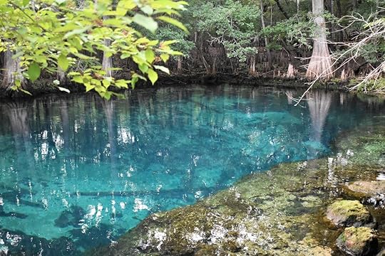 Manatee Springs