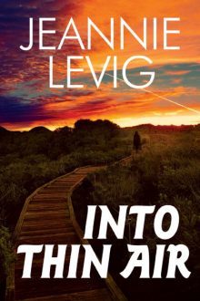 Into Thin Air_Jeannie Levig