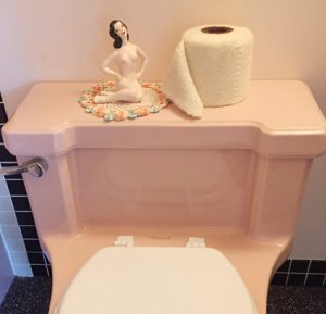 Knitted Toilet Paper Cozy