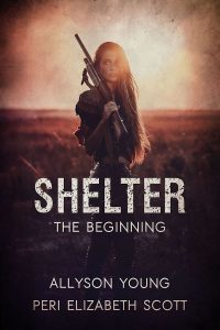 Shelter The Beginning