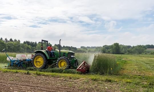 Interview with Lyndsey Antanitis, Veteran Farmer Program Coordinator at the Rodale Institute, an independent research institute for organic farming.
