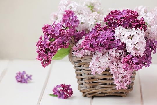 lilacbasket bouquet.jpg