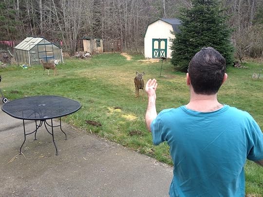 My son, James, throws apples to deer in our backyard