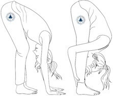 4 Standing Forward Fold, Beginner Yoga for Flexibility and Strength, Survival Fitness Plan