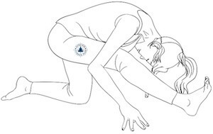 9, Half Pyramid, Beginner Yoga for Flexibility and Strength, Survival Fitness Plan