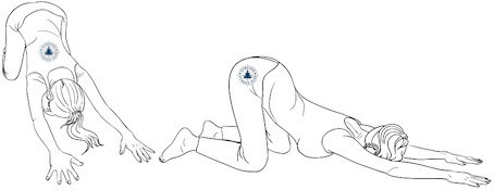 10, Extended Dog, Beginner Yoga for Flexibility and Strength, Survival Fitness Plan