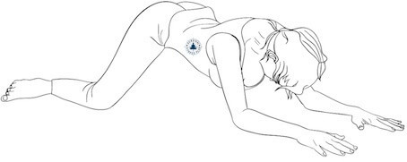 13, Downward Facing Frog, Beginner Yoga for Flexibility and Strength, Survival Fitness Plan