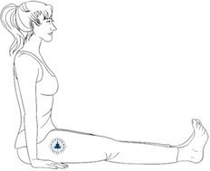 14, Staff Pose, Beginner Yoga for Flexibility and Strength, Survival Fitness Plan